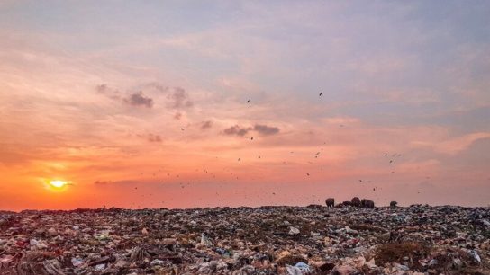 Sri Lanka is Sending Hazardous Waste Back to the UK After a Two-Year Battle