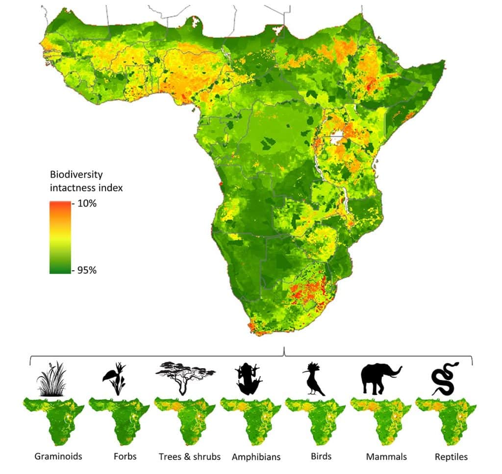 The mapped state of biodiversity across sub-Saharan Africa (Creditbii4africa)