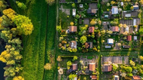 Breathing Life Into Cities: Unveiling Plants’ Hidden Air Quality Role