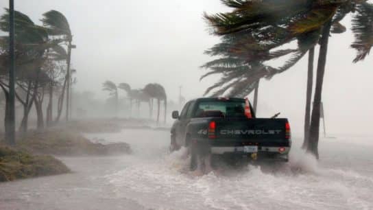 Deadly Hurricane Helene Could Be One of US Costliest Storms, Experts Say