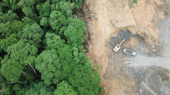 COP27 Countries Launch Partnership to Track Progress On Glasgow Deforestation Pledge