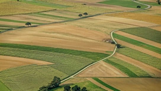 How Can We Make the Global Food System More Sustainable?