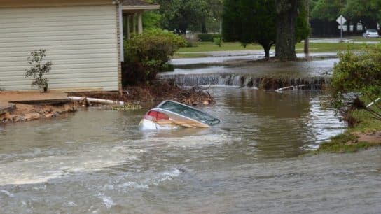 New Zealand PM Says ‘Climate Change Is Real’ Amid Devastating Auckland Floods