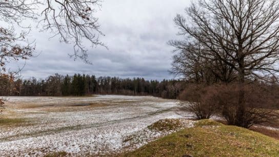 What Europe’s Snow Shortage Tells Us About Global Warming