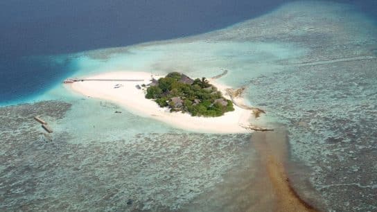 Climate Change-Threatened Small Island States Hail ‘Historic’ Ocean Court Victory