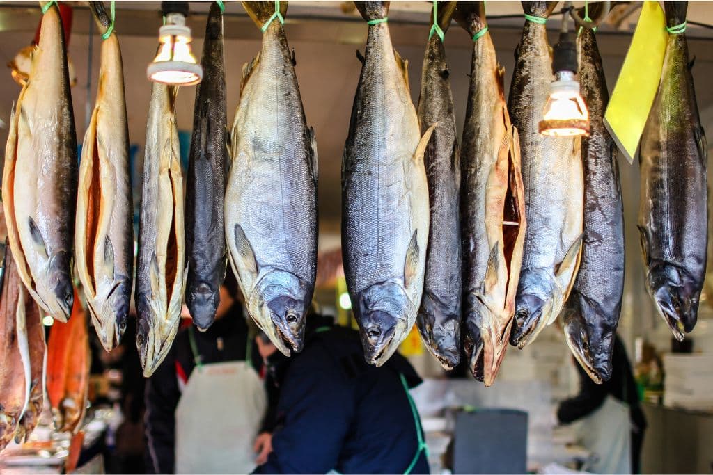 What You Need to Know About Overfishing