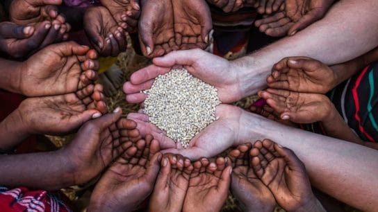 Why Global Food Security Matters