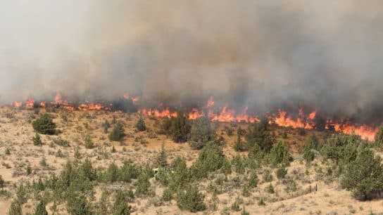 Millions of British Columbia Residents Under Air Quality Warnings As Wildfires Fill Skies With Toxic Smoke