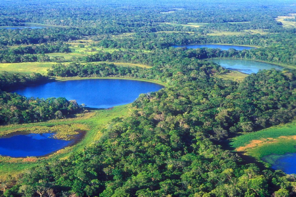 Exploring the Nexus Between Research and Policy for Wetland Restoration