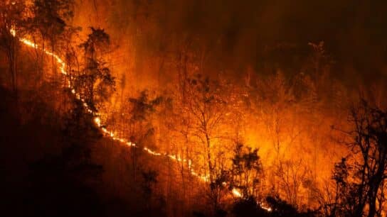 Millions of Americans Urged to Stay Indoors as ‘Unprecedented’ Smoke From Canada Wildfires Chokes East Coast