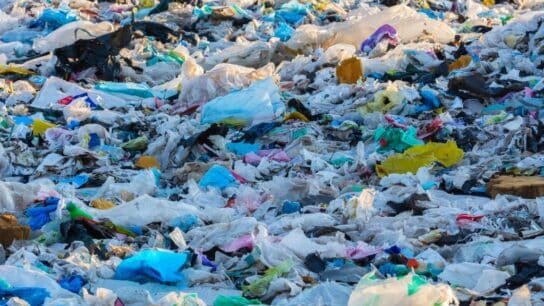 Why the World Urgently Needs a Global Plastic Treaty