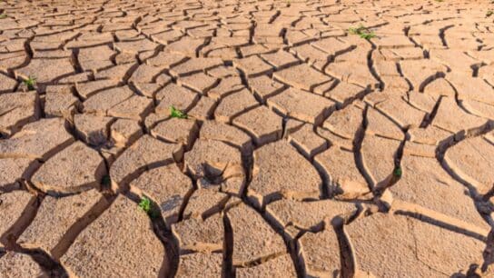 World Faces 40% Shortfall in Freshwater Supply by 2030, Experts Warn Ahead of UN Water Conference