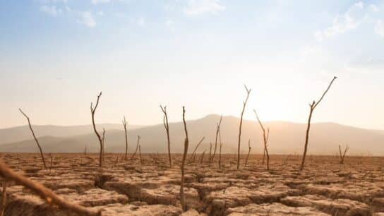 Somalia Drought May Have Killed 43,000 People in 2022: Report