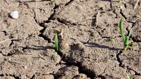 95% of the Earth’s Soil on Course to Be Degraded by 2050