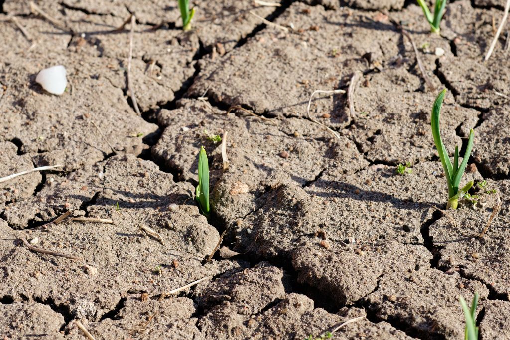 More than 40% of World’s Land Now Permanently Dry, UN Report Warns