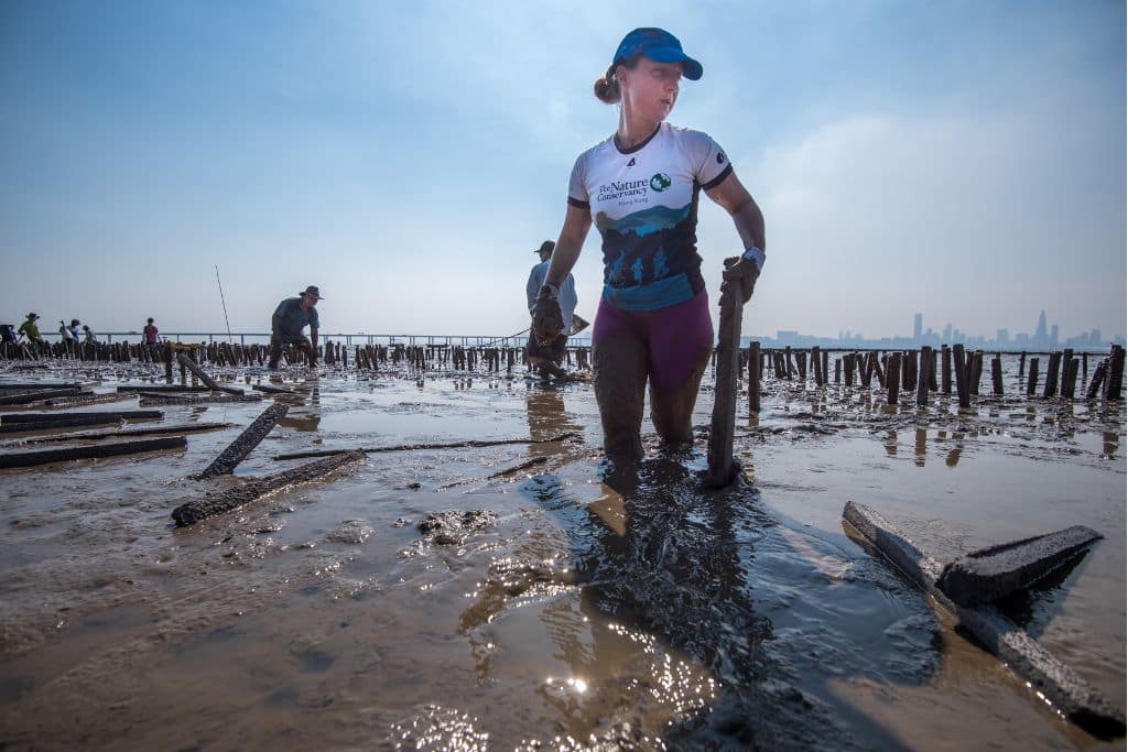 Marine Thomas was restoring abandoned oyster farms back to natural oyster habitats at Pak Nai, Deep Bay.