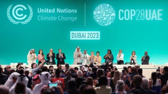 Navigating COP: A Deep Dive into the UN Climate Conference Process