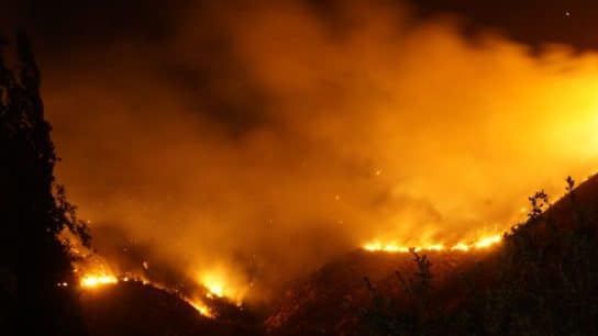 Death Toll From Chile Wildfires Rises to 122 as Scientists Blame Long-Running Drought and El Niño