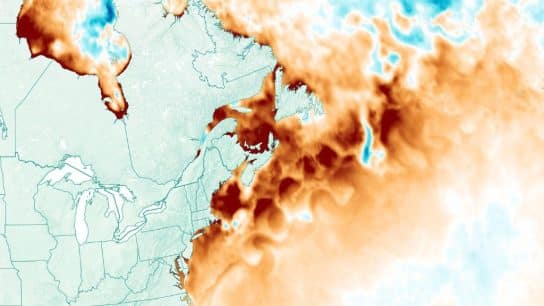 What Do Heatwaves Tell Us About Climate Change?