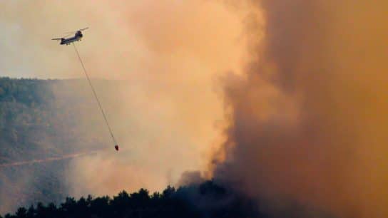 Thousands Flee as Wildfires Rage Across Athens Suburbs Amid Hottest Summer on Record