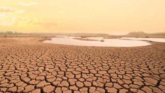 Millions of Africans at Risk of Food and Energy Insecurity, Poverty as Climate Crisis Advances, New Report Finds