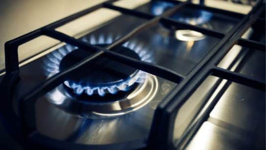 Gas Stoves Linked to 40,000 Premature Deaths in EU and UK Annually: Study