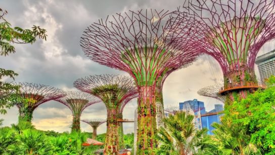 How Sustainable Cities Like Singapore Succeed in Green Urban Development