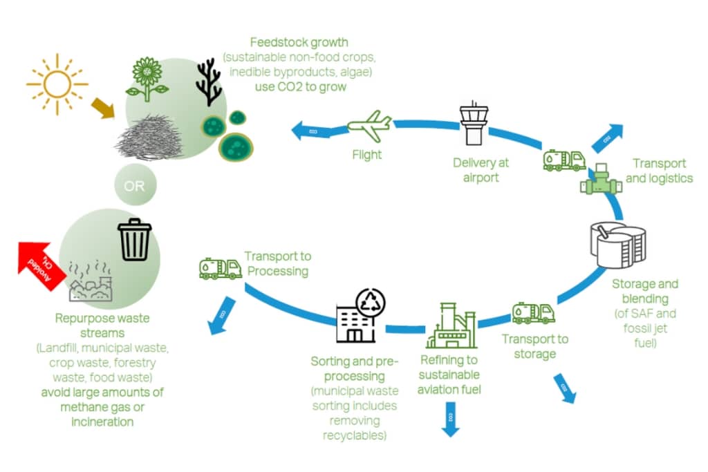 Diagram of the carbon lifecycle of sustainable aviation fuel