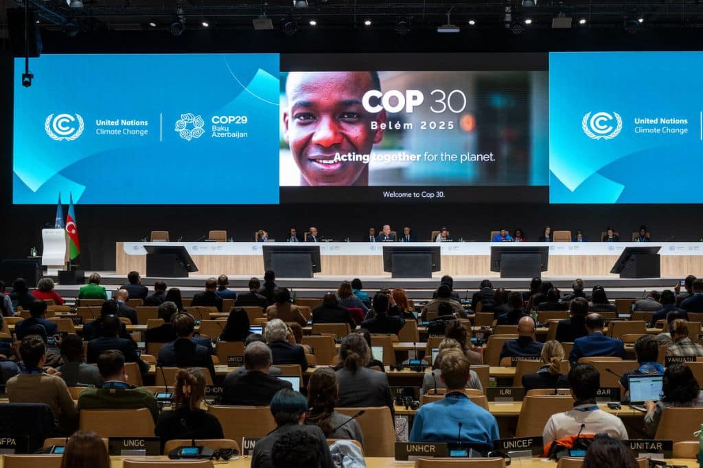 COP29 closing plenary.