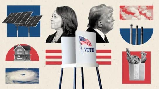 The Climate Stakes of the Harris-Trump Election