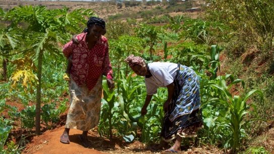 To Save Our Soil, Invest in Smallholder Farmers