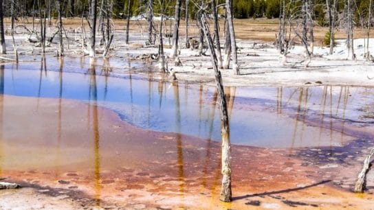 Explainer: What Is Acid Rain?