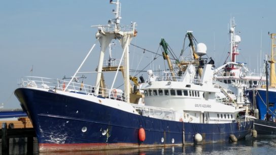 Alarm as Hundreds of Chinese Fishing Vessels Discovered Near Galápagos Protection Zone