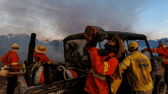 North and South America Endured ‘Exceptional’ Wildfire Season in 2024