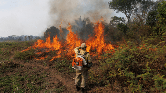 Air Pollution From Wildfires Kills 1.5 Million Annually, Over 90% in Developing Countries: Study