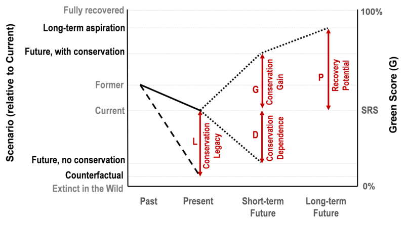 A visualization of the four Conservation Impact Metrics that can be measured in a Green Status of Species assessment. Each metric is calculated by comparing the Species Recovery Score (current Green Score) to the species’ Green Score under defined alternative scenarios.