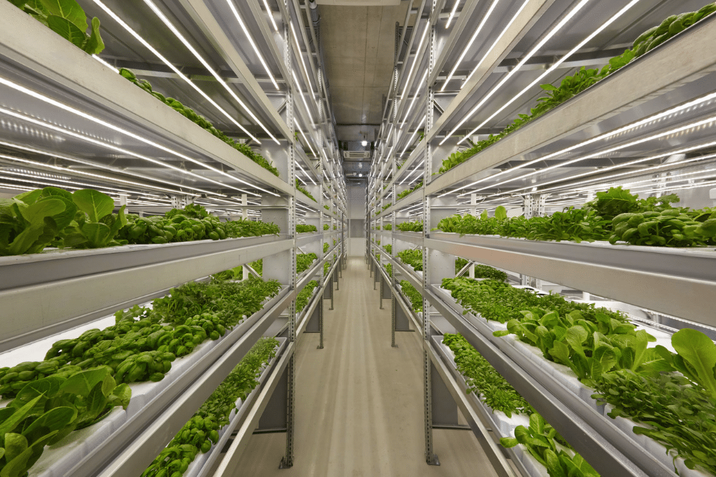 Vertical farm in Finland.