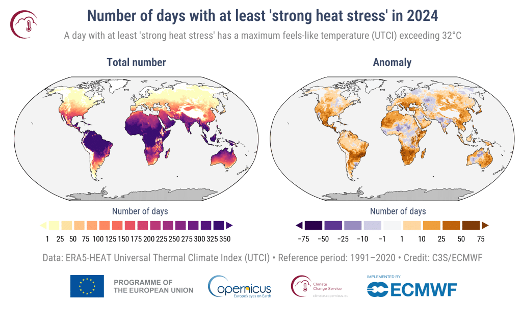 Graph showing the number of days with at least 'strong heat stress' in 2024.