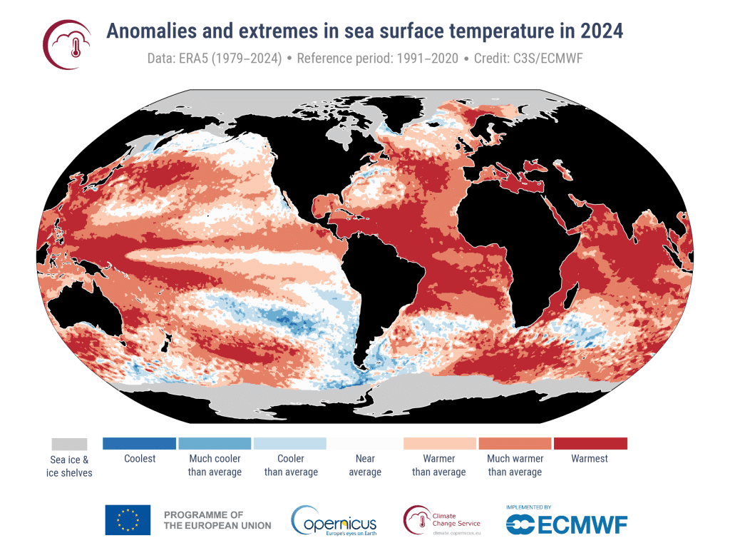 Graph showing anomalies and extremes in sea surface temperature in 2024.