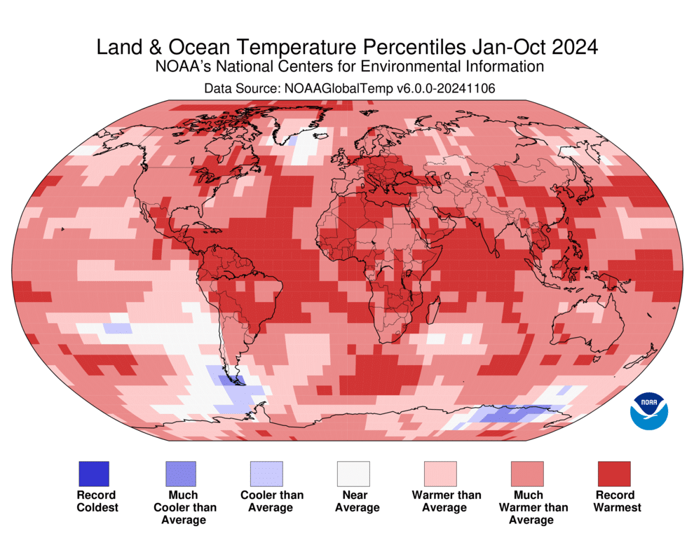 Land and ocean temperature percentiles between January and October 2024.